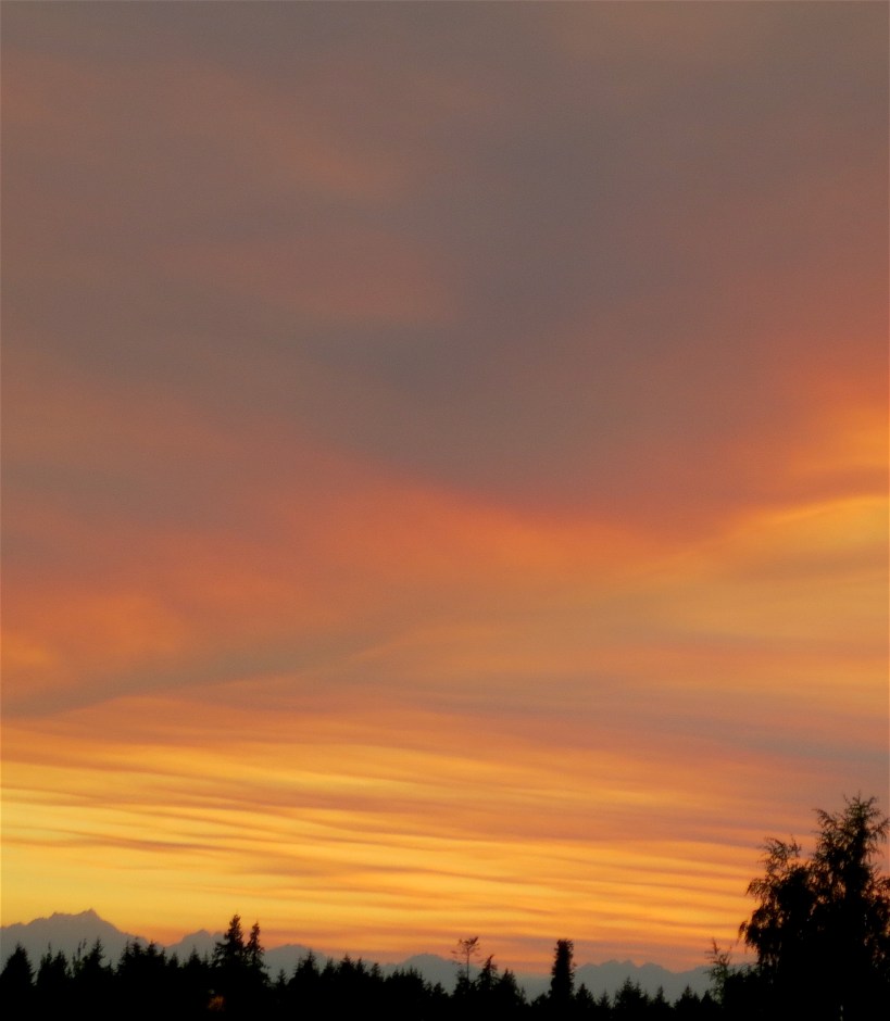 kitsapsunset