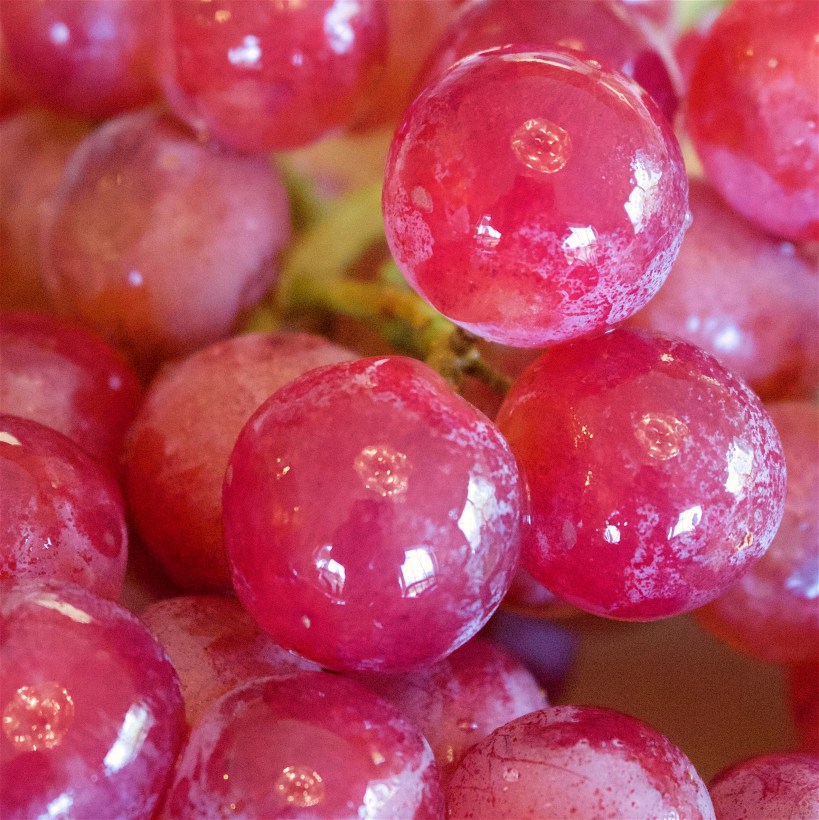grapes2