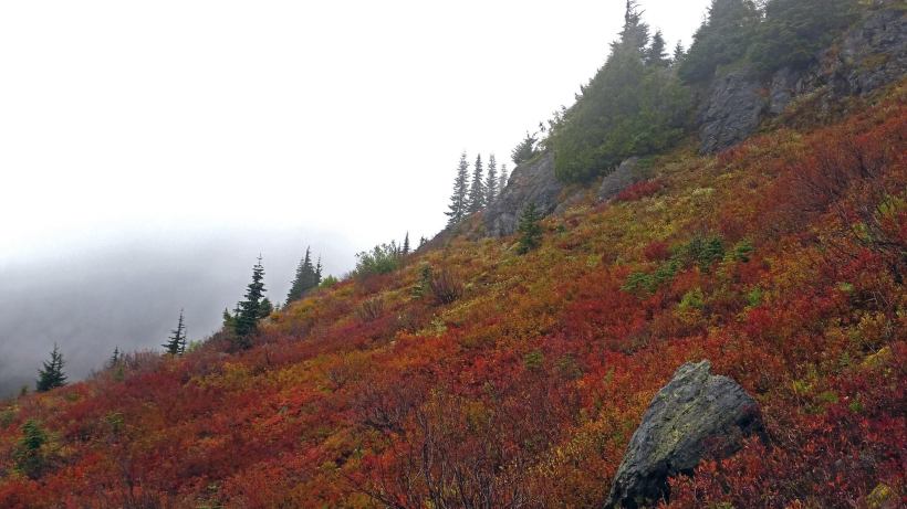 14481898_10209826818494831_362151031103082346_o