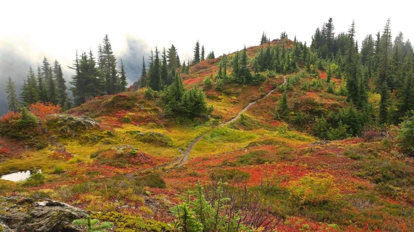 14524620_10209826820934892_1110965281285556055_o