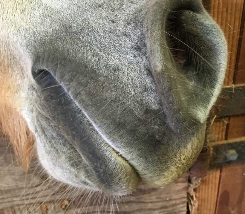 14567968_10154553853221119_4753895518196112171_n