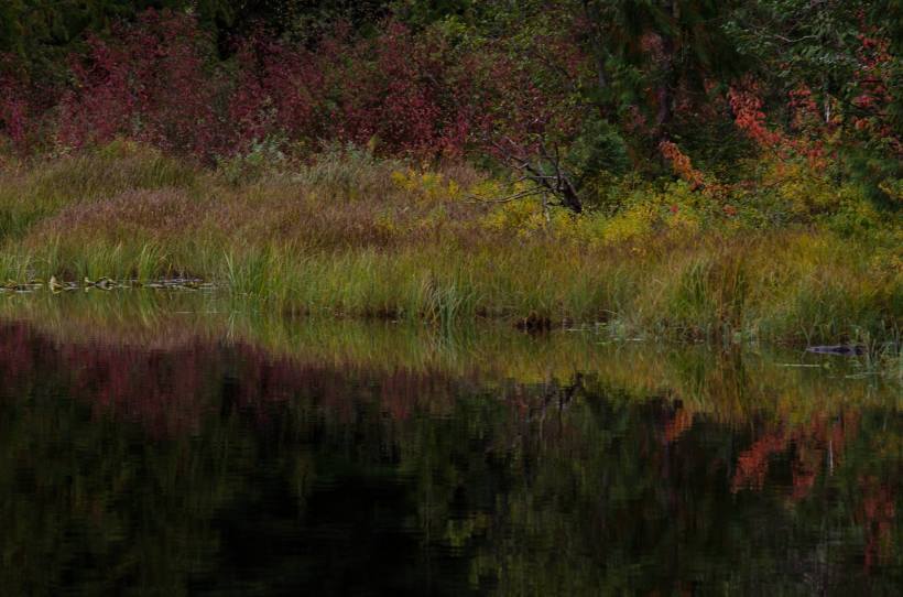 14570618_1425286030834039_1135270447888784518_o