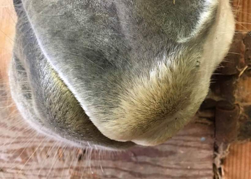 14642272_10154553853216119_566110241839678780_n