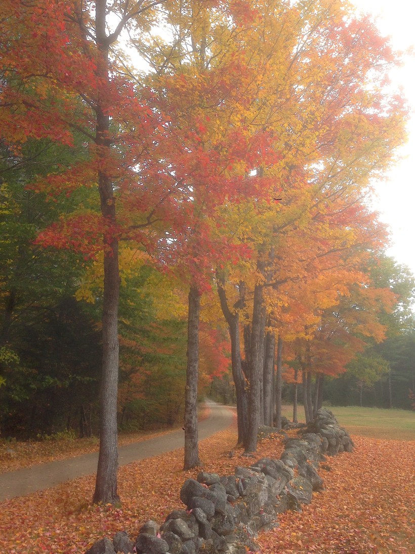 newhampshirefall1