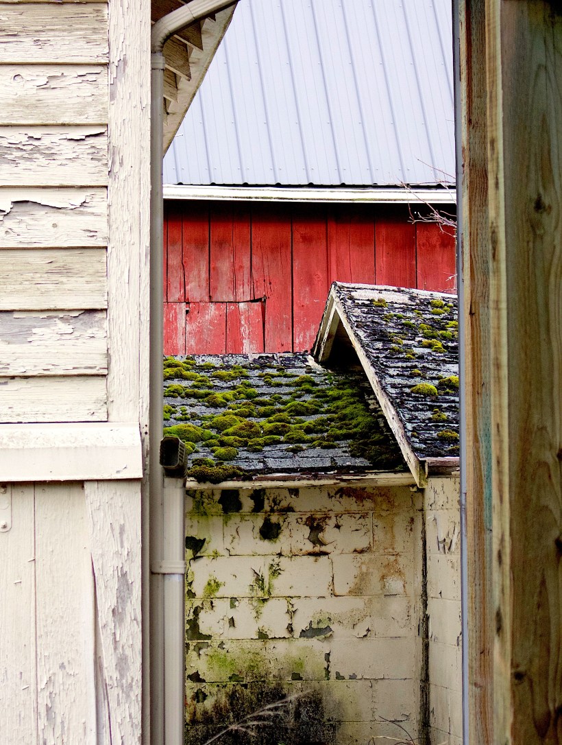 barns12316