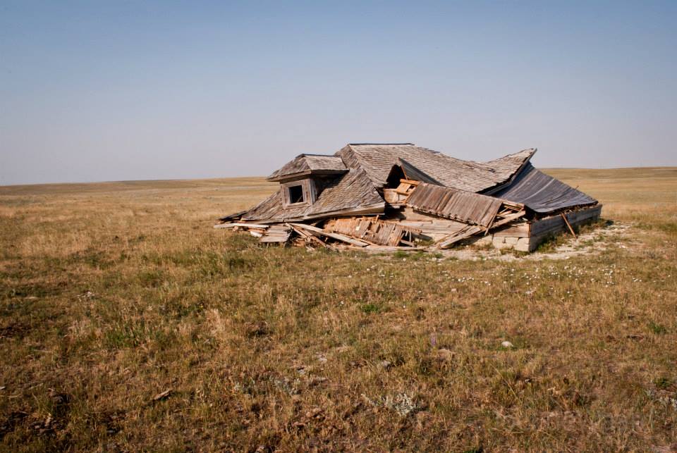 1233407_683997988296184_779175851_n