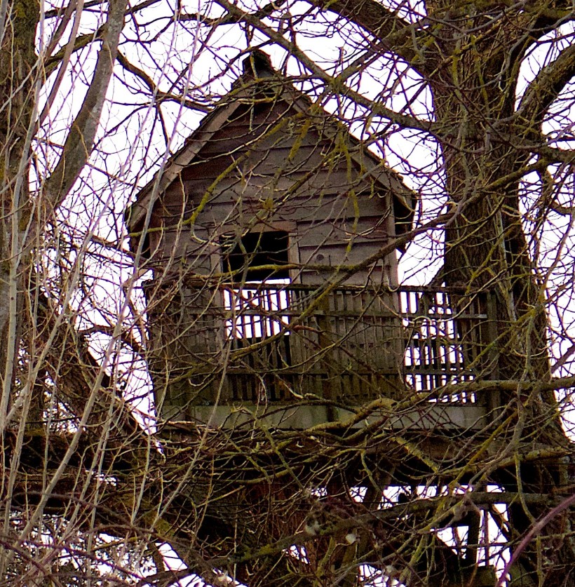 treehousejanuary