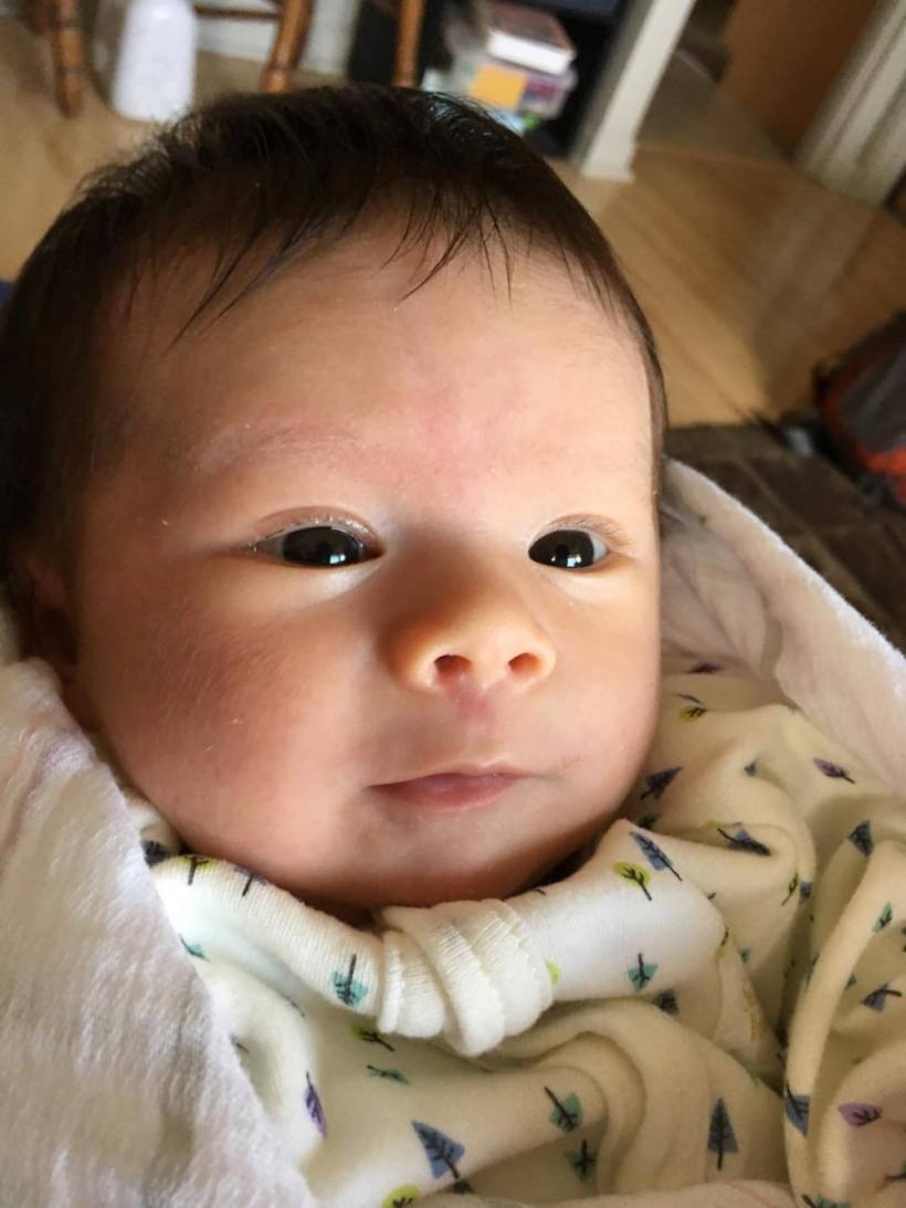 17474431_10155096816031119_1164090568_o