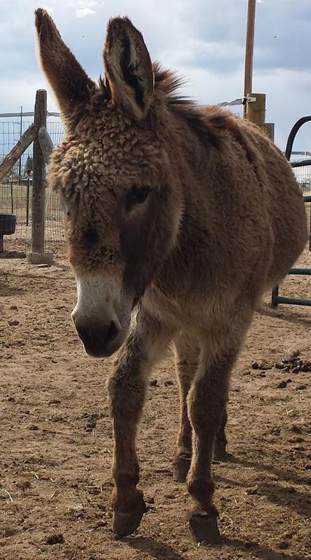 13119038_10207819225091284_6197561799003821086_n