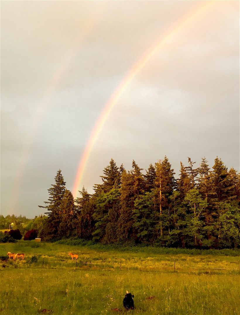 13220647_10154154025966119_7883082133489051201_o