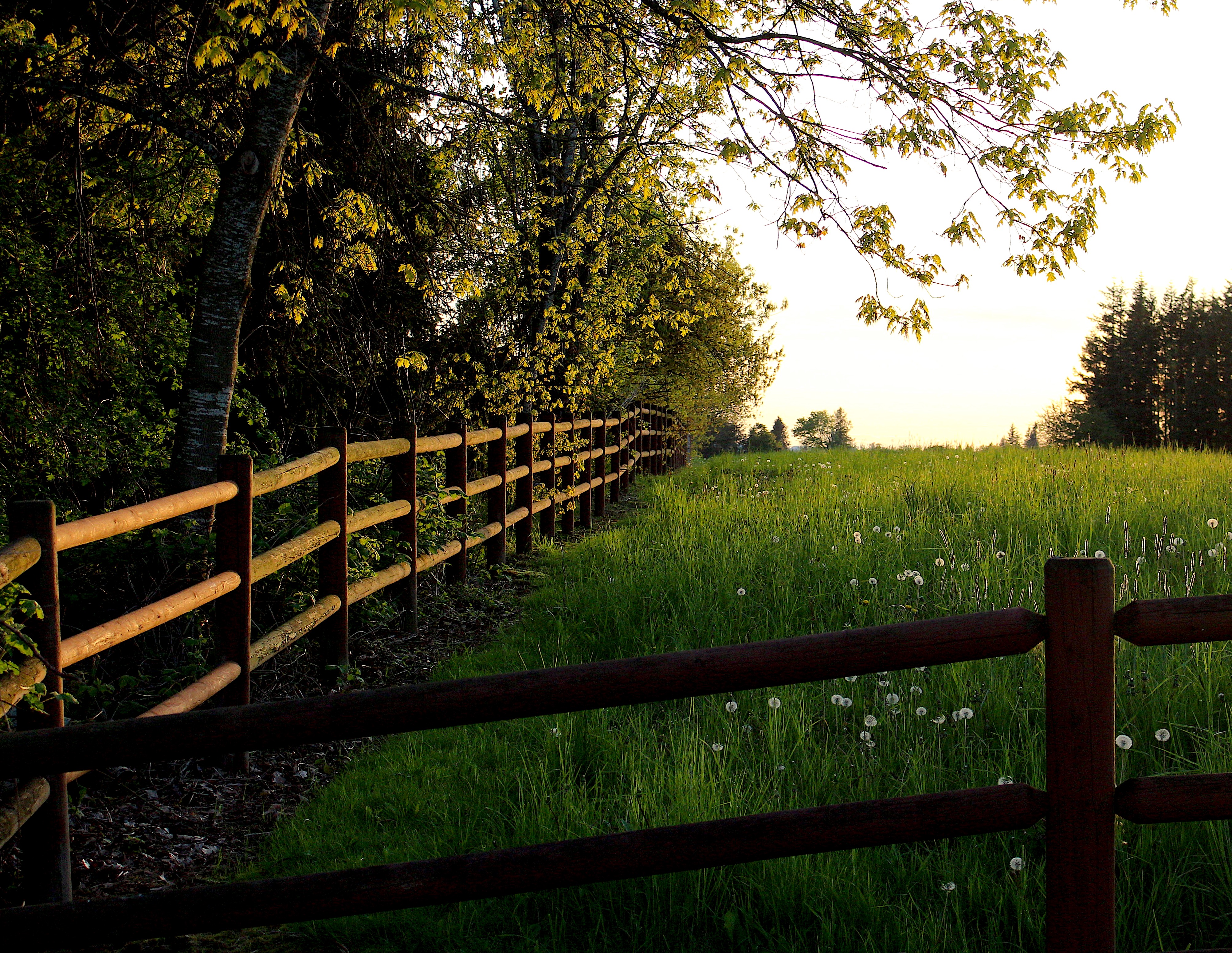 fenceline4