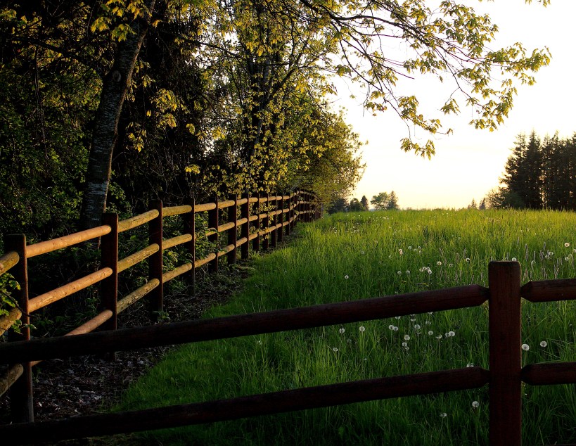 fenceline4