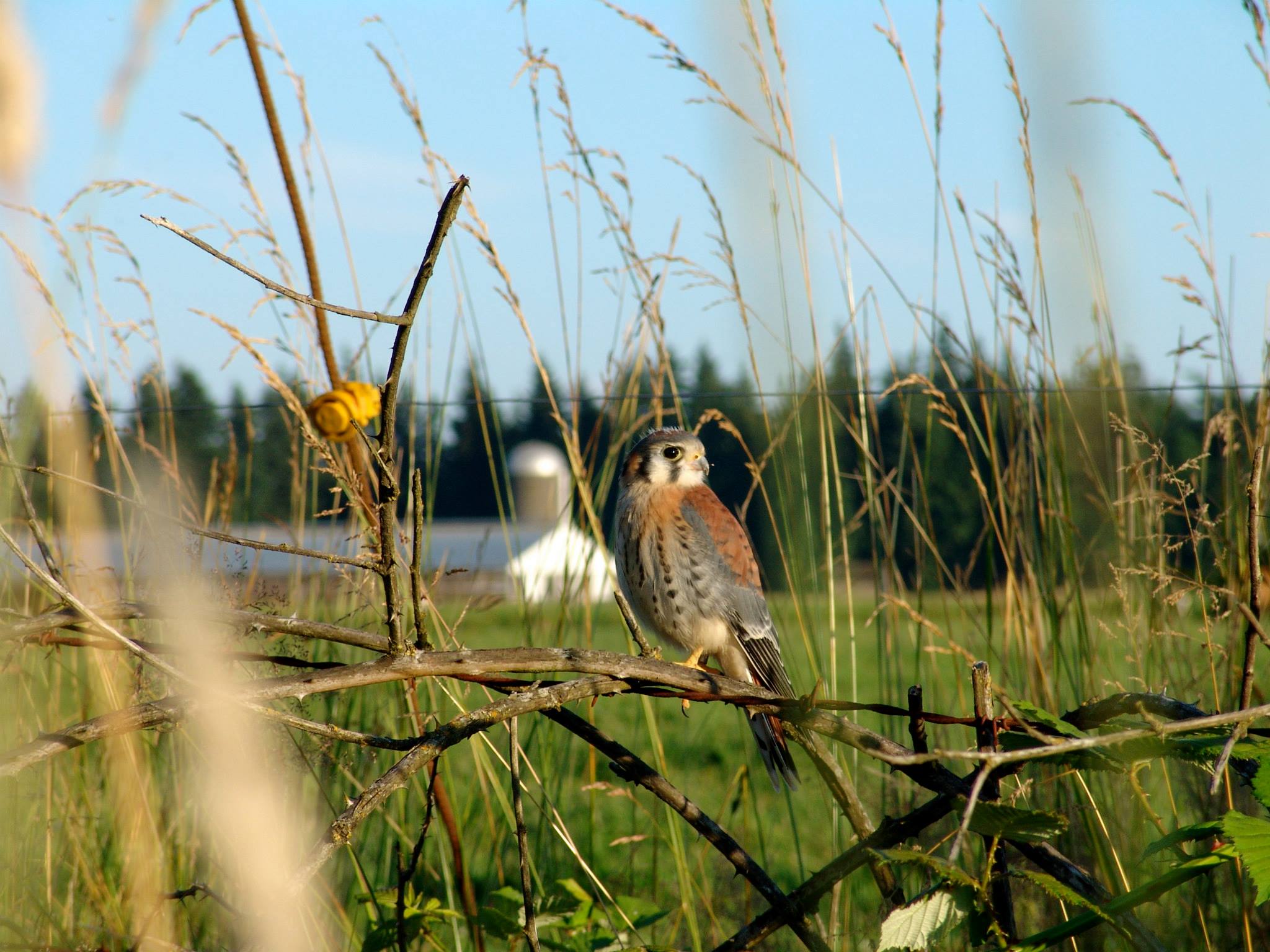 1071549_811740264270_873845626_o