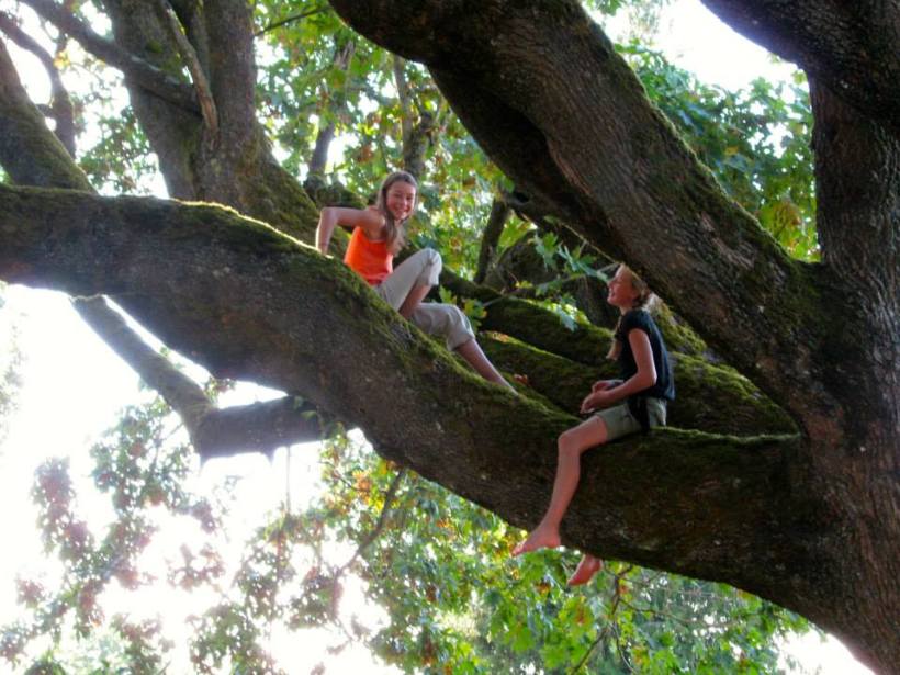 11954776_10153625295866803_245813013455075495_n