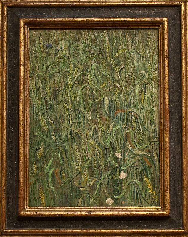 WLANL_-_MicheleLovesArt_-_Van_Gogh_Museum_-_Ears_of_wheat,_1890