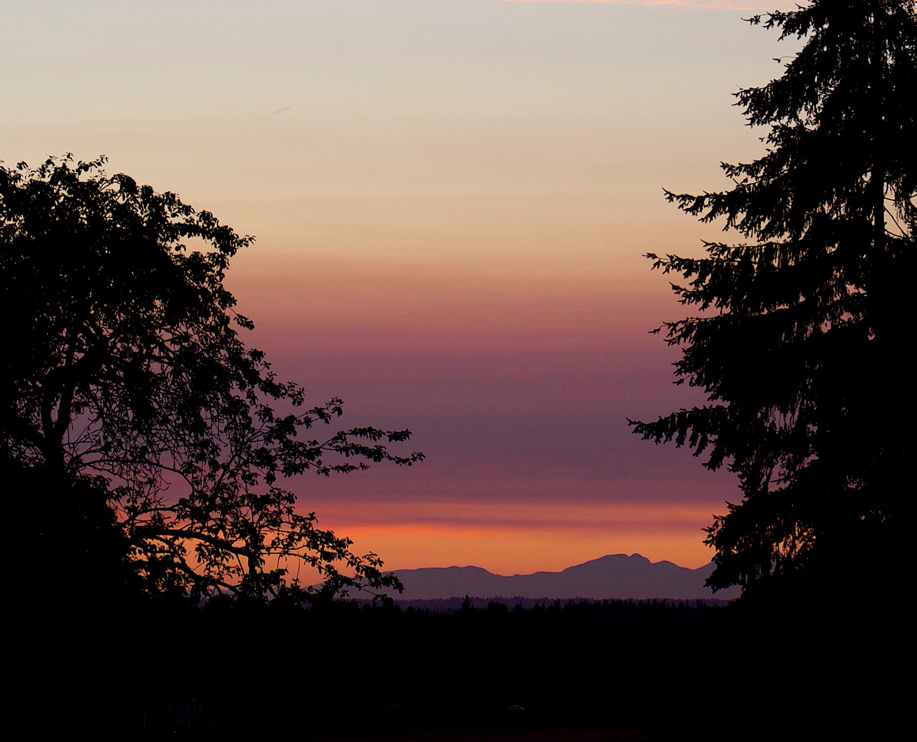 foothillssunset73117