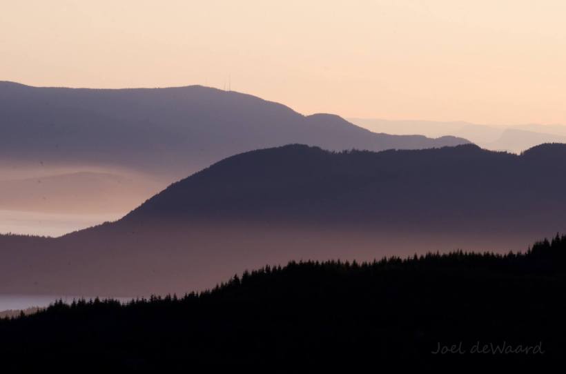 13558746_1330353816993928_1992708106779604756_o