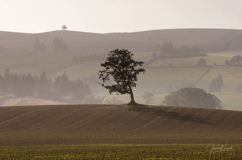 22383992_1840069842688987_8481941918315523726_o