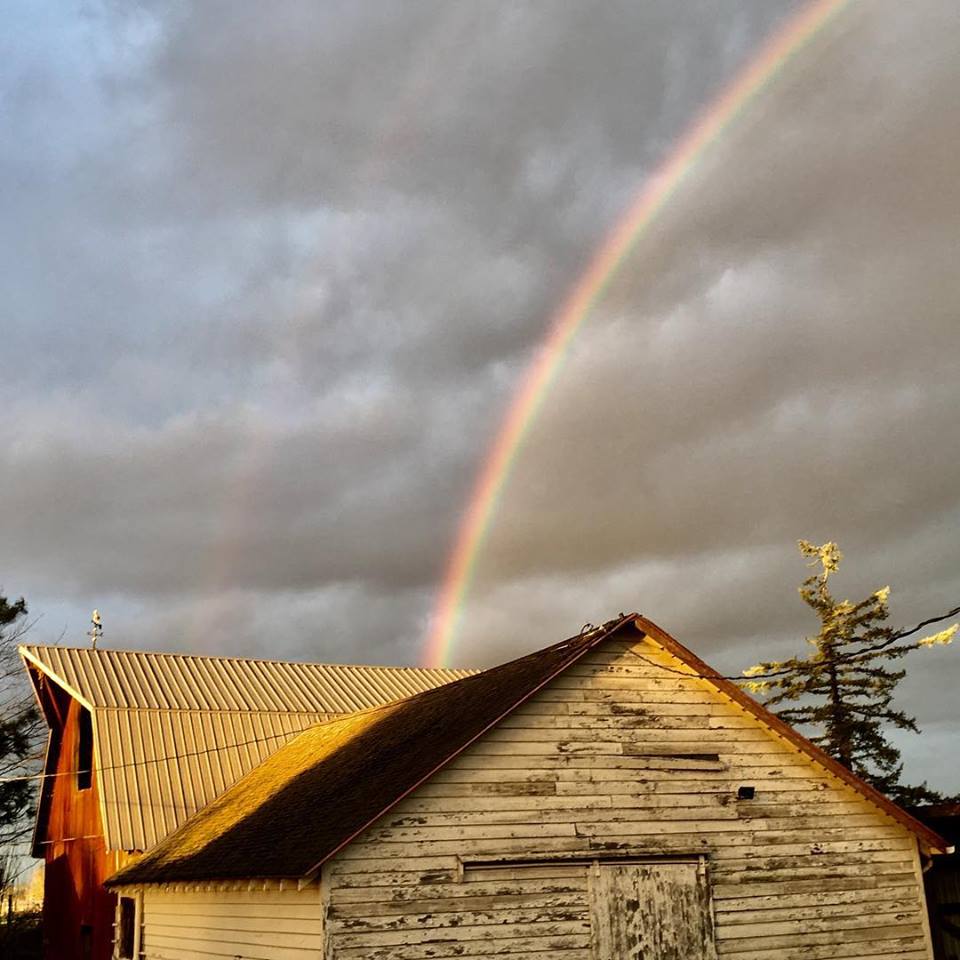 28167934_1608924059184909_5831486942533925235_n