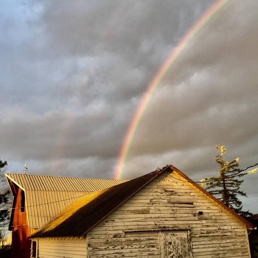 28167934_1608924059184909_5831486942533925235_n