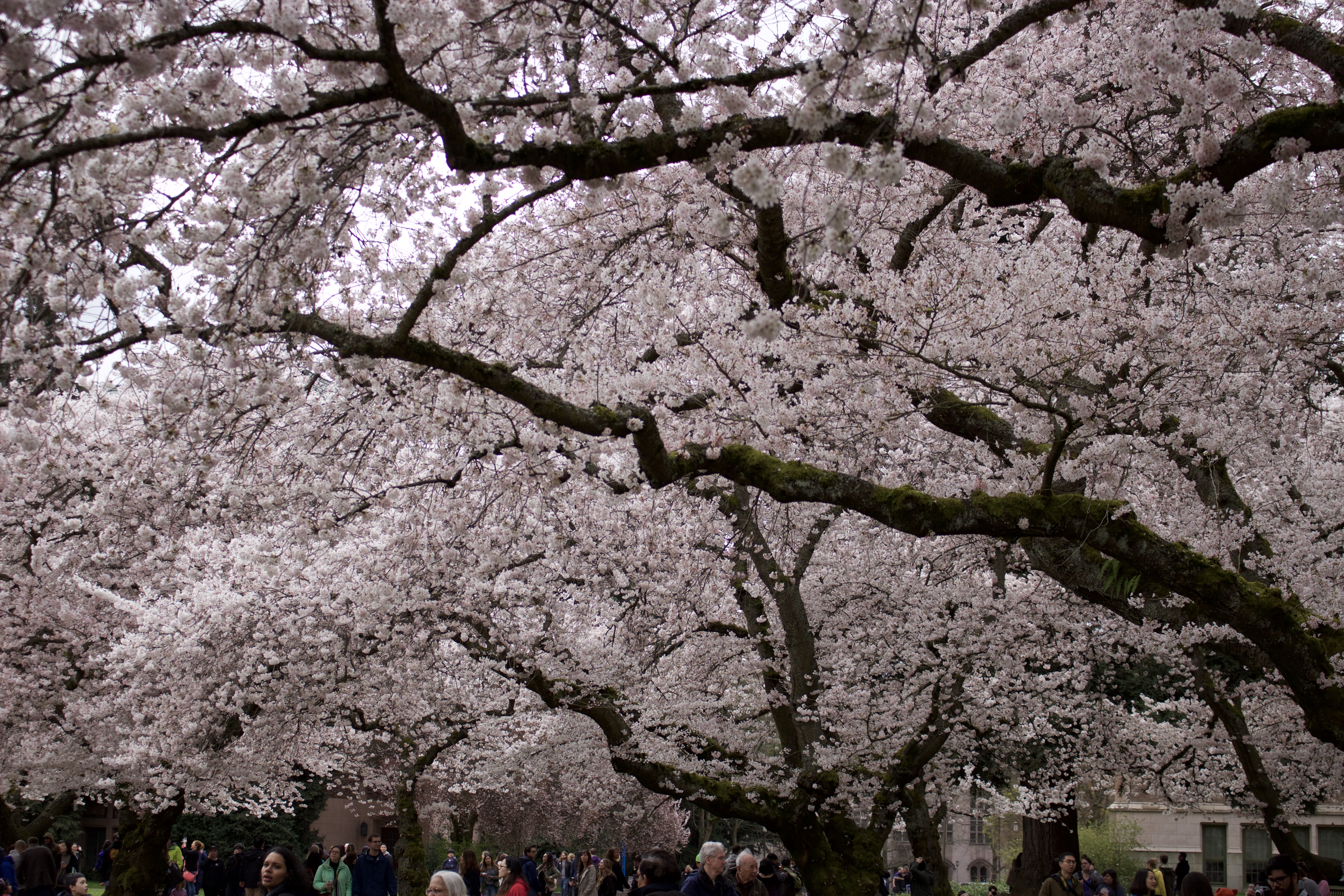 0518C29F-42D9-46D3-AEDC-4F6ADD2DD217