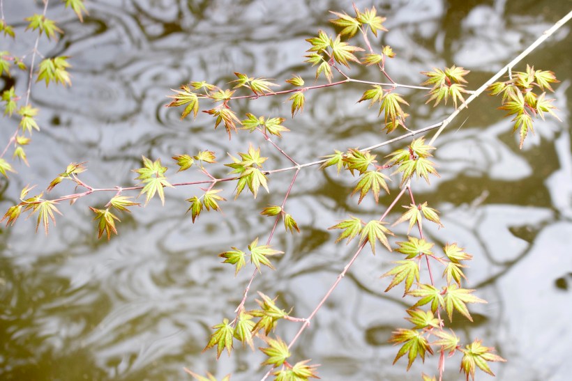 0EA34014-2620-4F8F-A390-E558F3D6C4ED