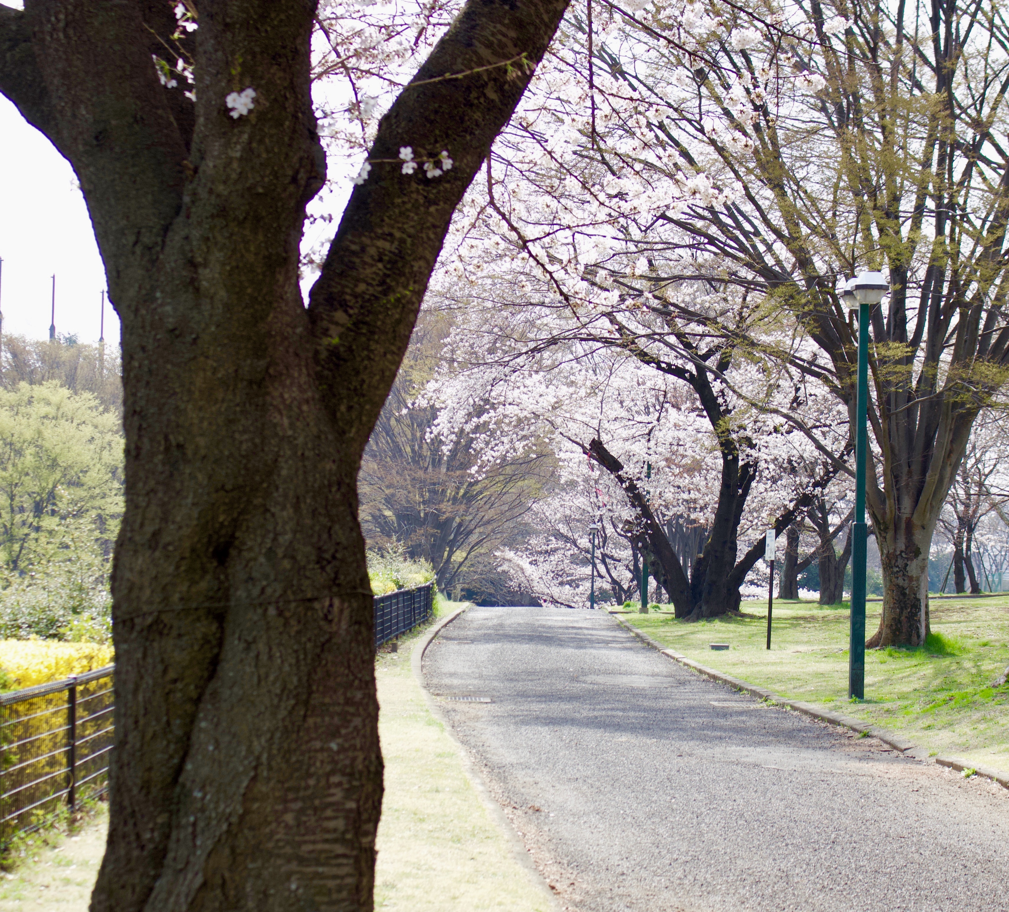 2AA7C625-3DB0-4A3F-98C9-2D98A8EA99F7