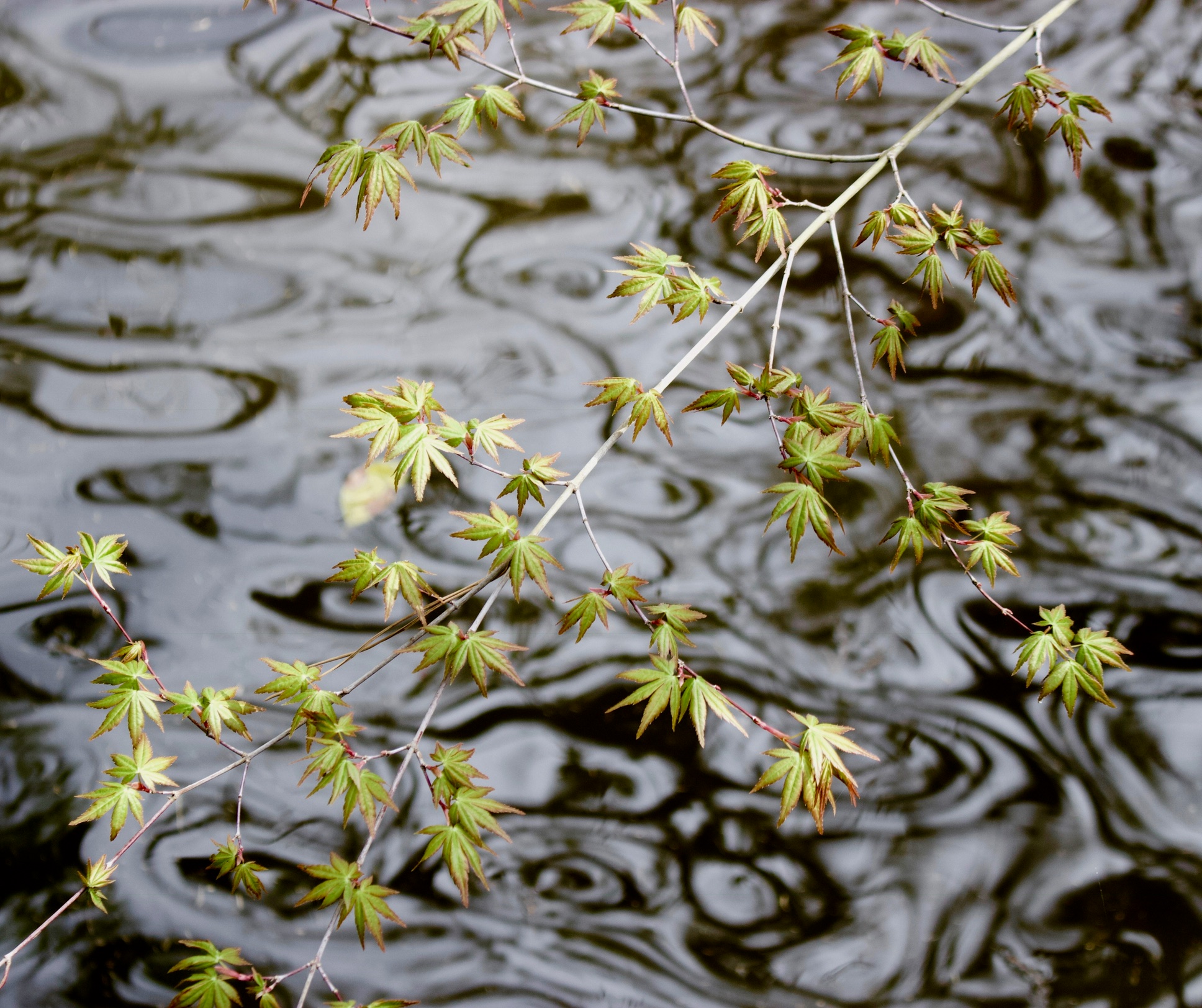 30AEBAA5-A85C-4EA5-B20F-2CD52EF2C056