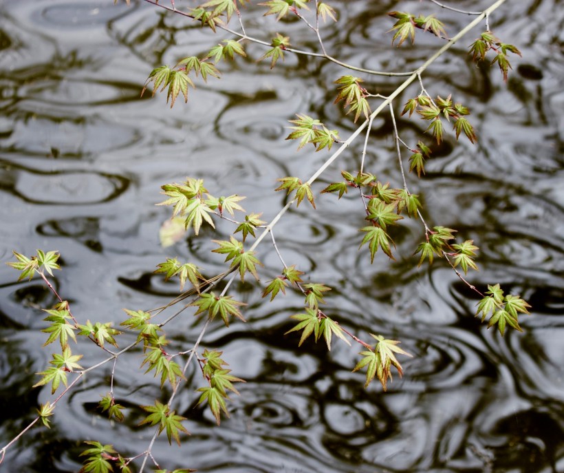 30AEBAA5-A85C-4EA5-B20F-2CD52EF2C056