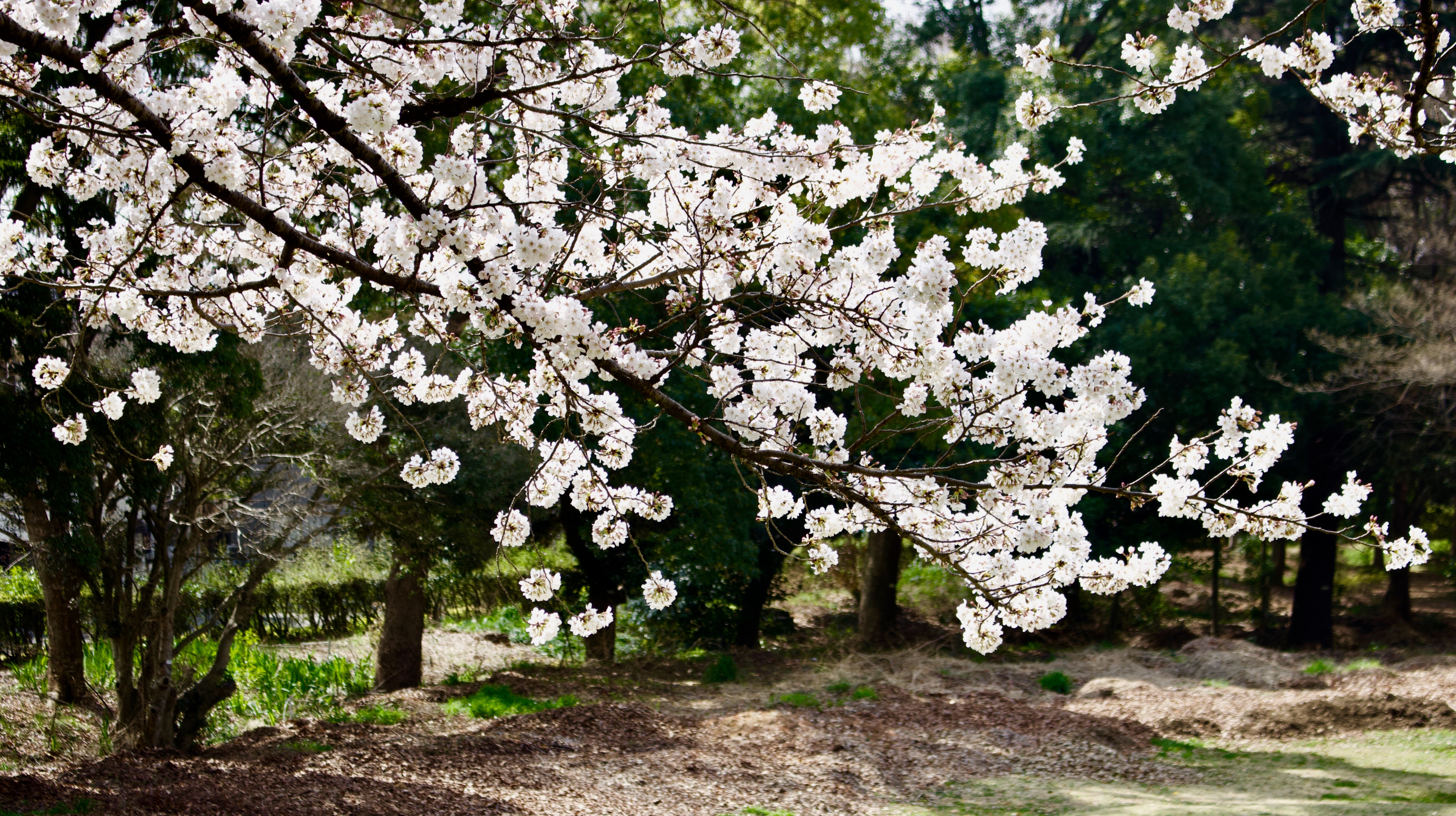 30DD8F12-442C-4AE1-80C0-C0C3067A63BD