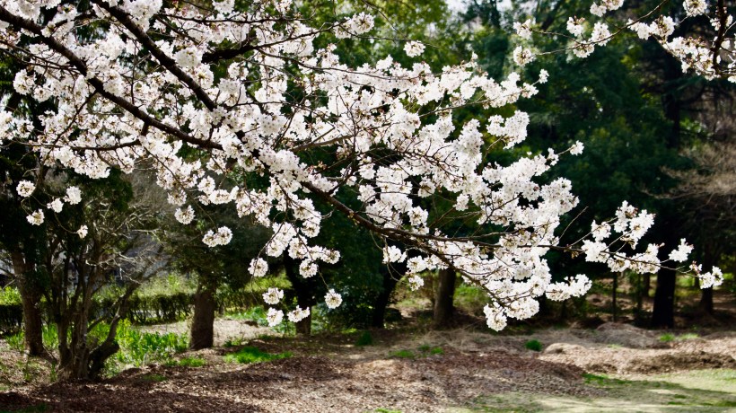 30DD8F12-442C-4AE1-80C0-C0C3067A63BD