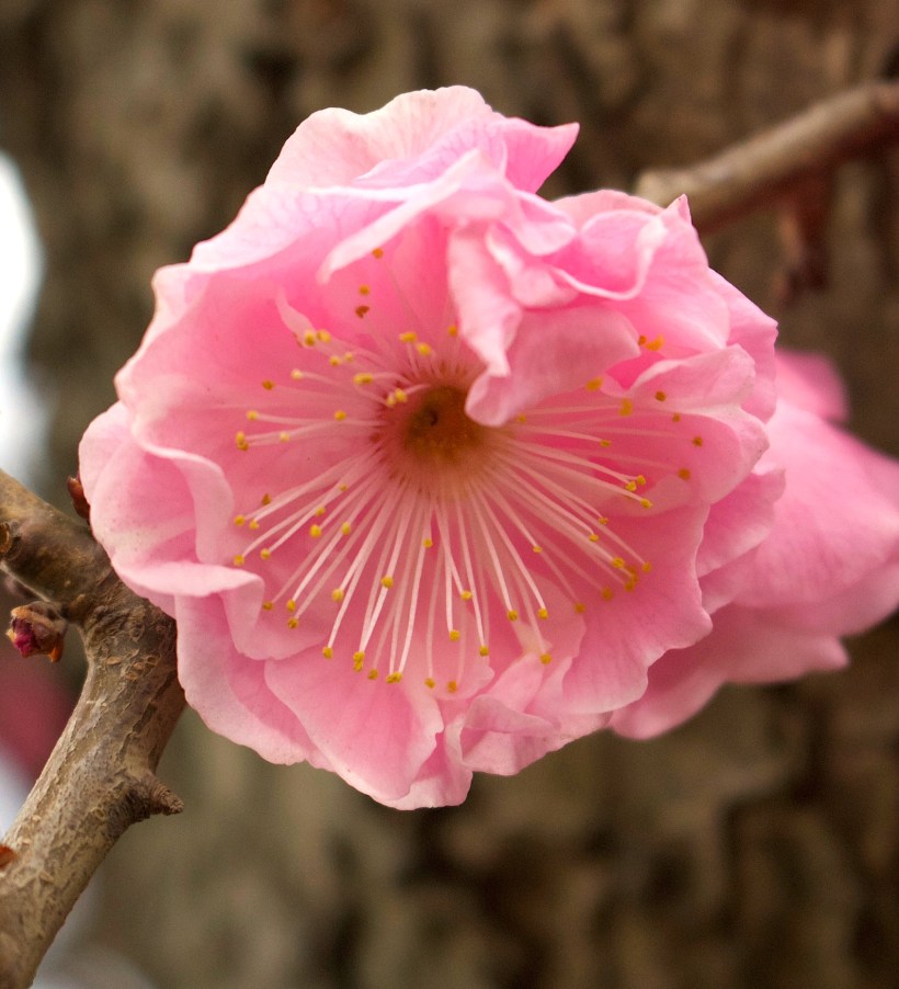 32743691-96FF-4262-9C5A-153B88A3C53B