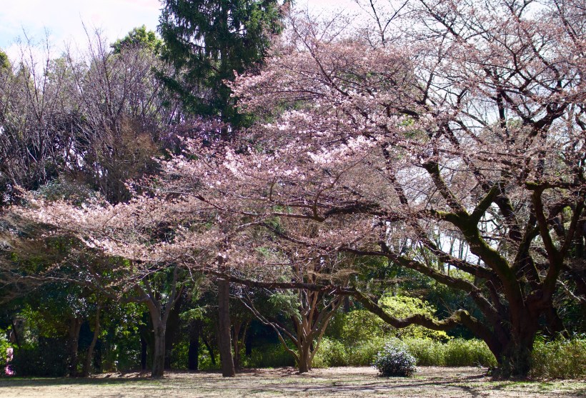 3E761889-9F83-41F2-B327-A370ECE4C444