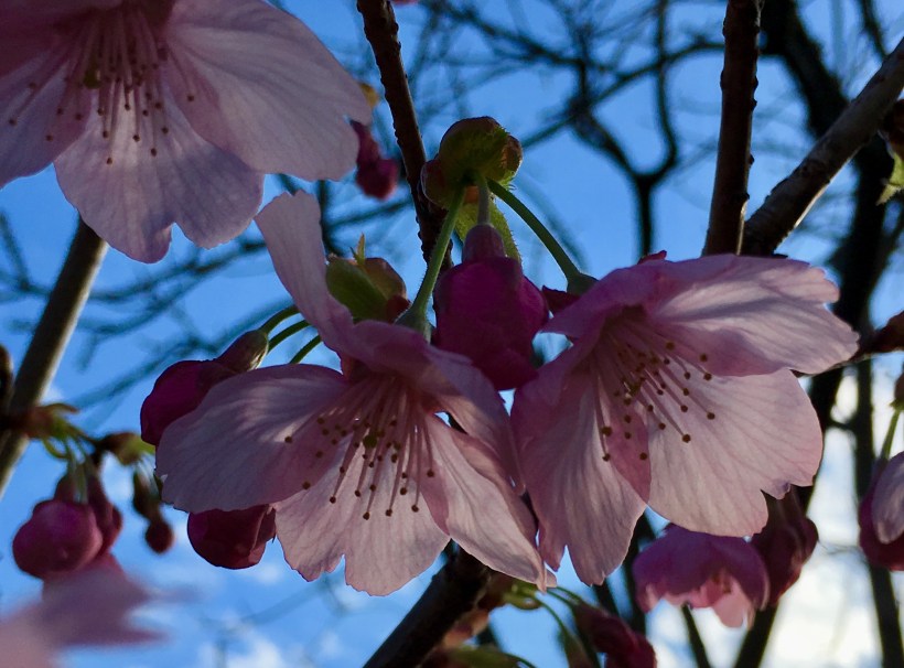 4D07D250-4745-42F0-9906-94ABAD2AC52F