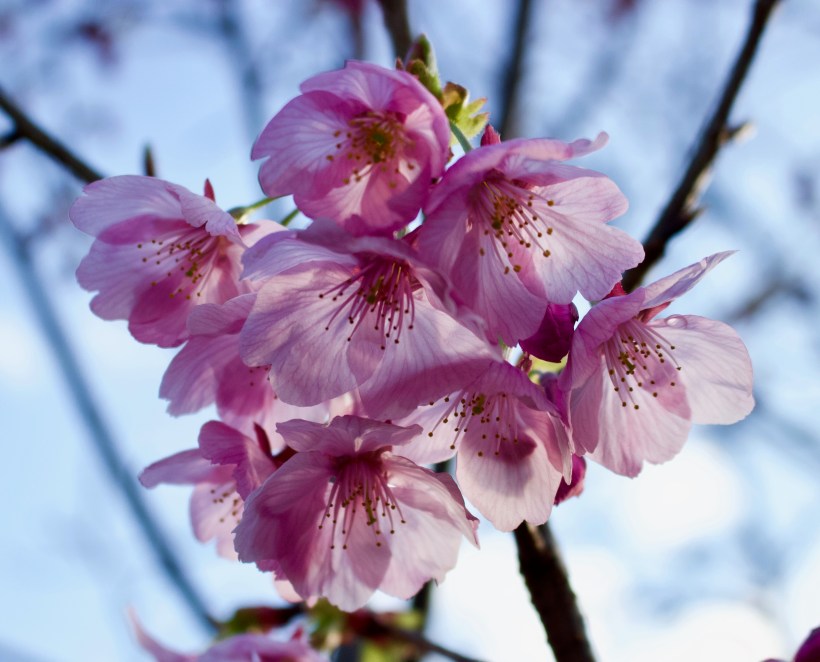 521D399D-8375-49BE-B23E-8791AE308708