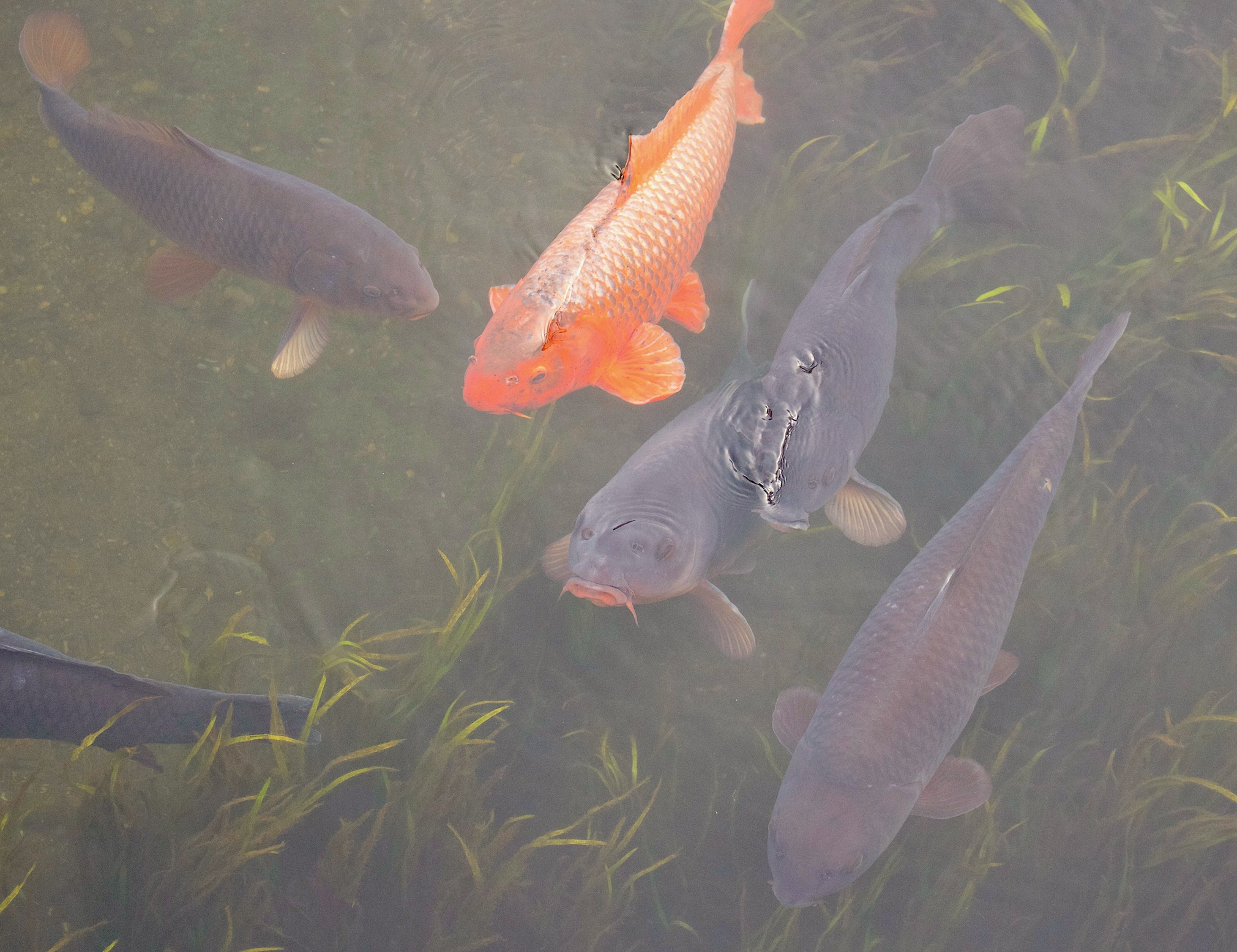 55E4AEAD-126D-43D1-924C-42DE2528DB94