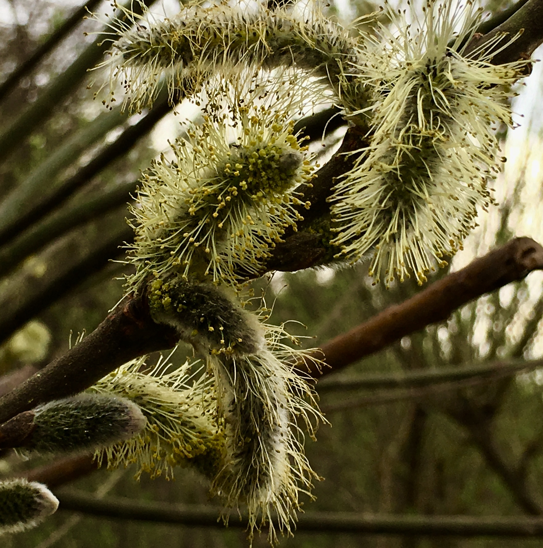 56FFDF40-97B9-40B9-B9A0-80878B8E99B4