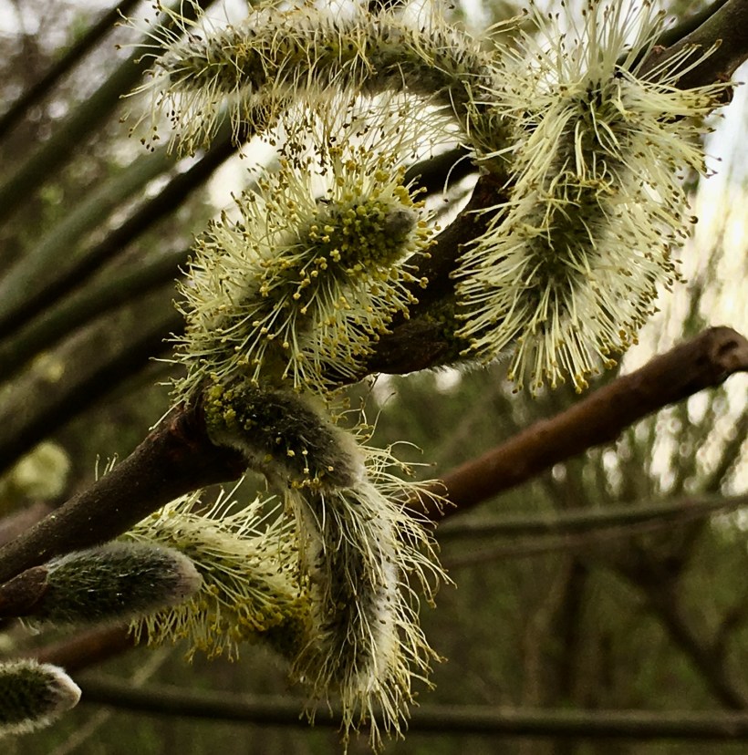 56FFDF40-97B9-40B9-B9A0-80878B8E99B4