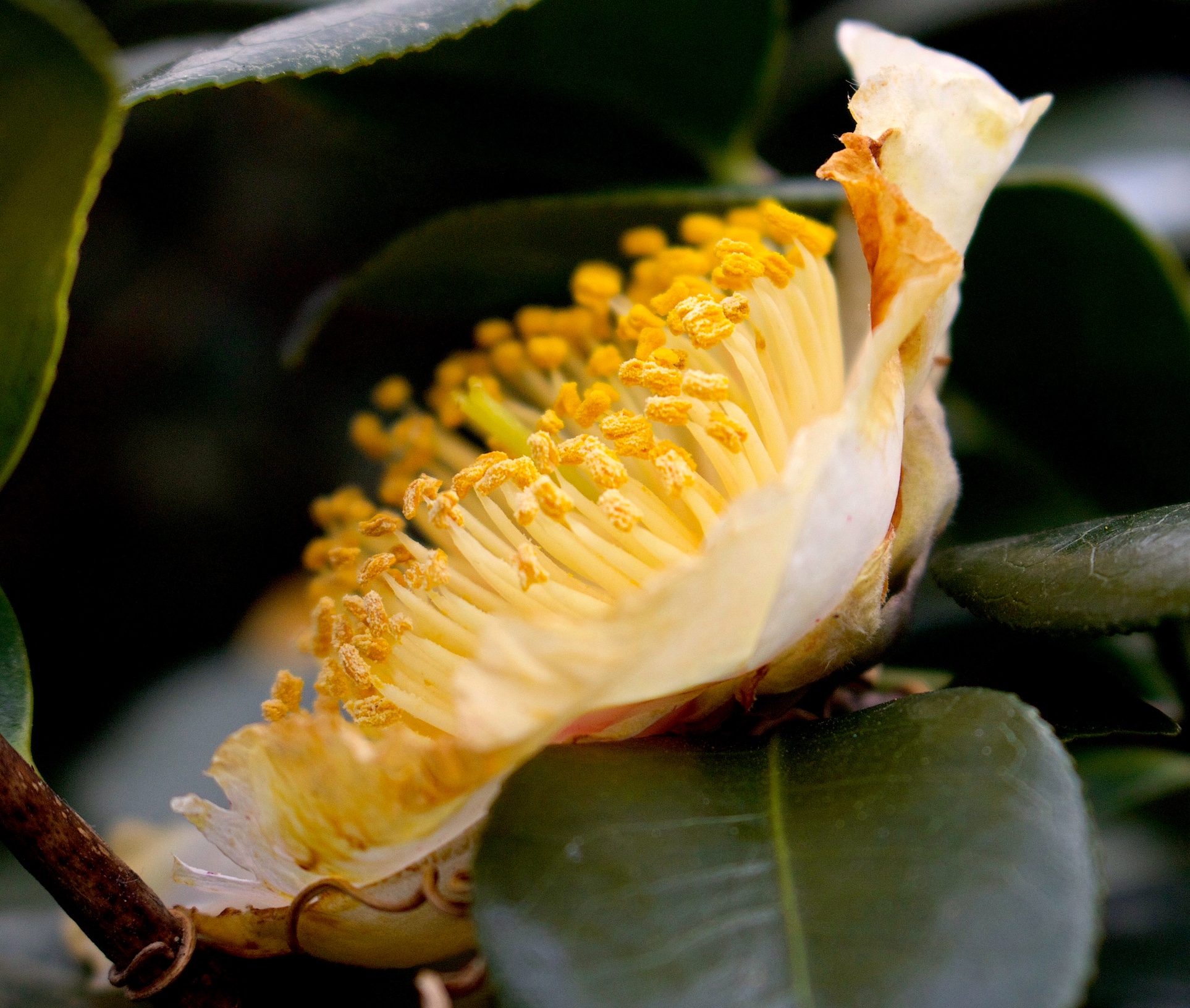 661CED7C-05DF-4E5D-AA3E-2DEB3D980A08