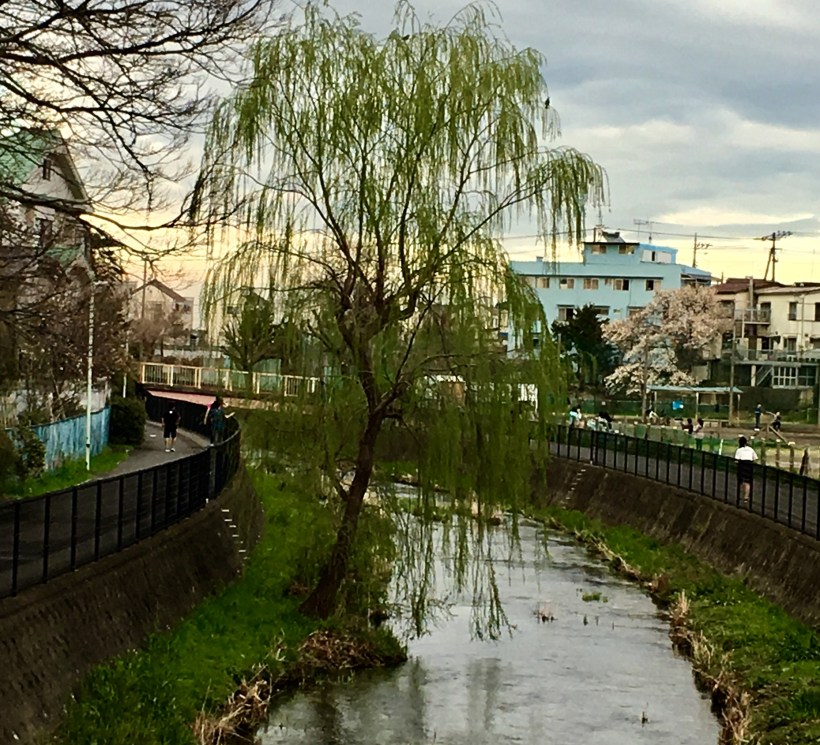 6B0C5092-38F7-4D6D-AA19-E8CC910506F8