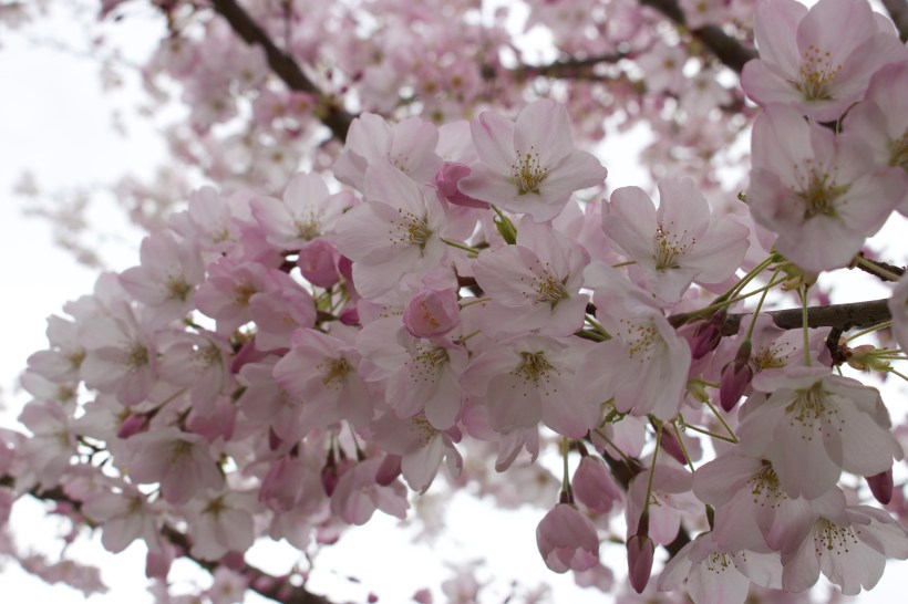 72789817-C166-4F05-84C4-4E7FA737FE00