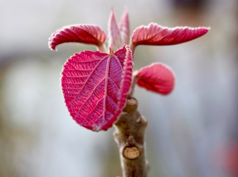 7B25968C-16B7-4558-A240-0AFD5EE3F36A