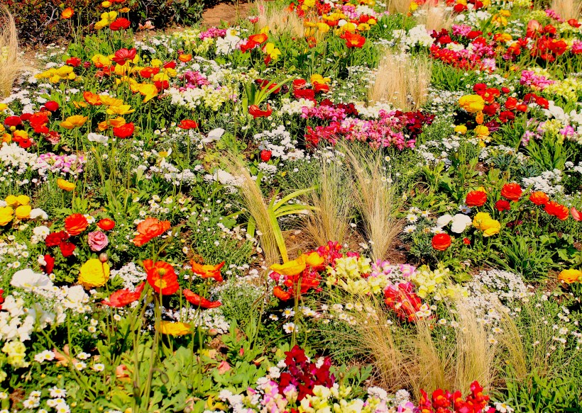 8BB02F82-AC07-4BF2-81A3-71D84A9231FE