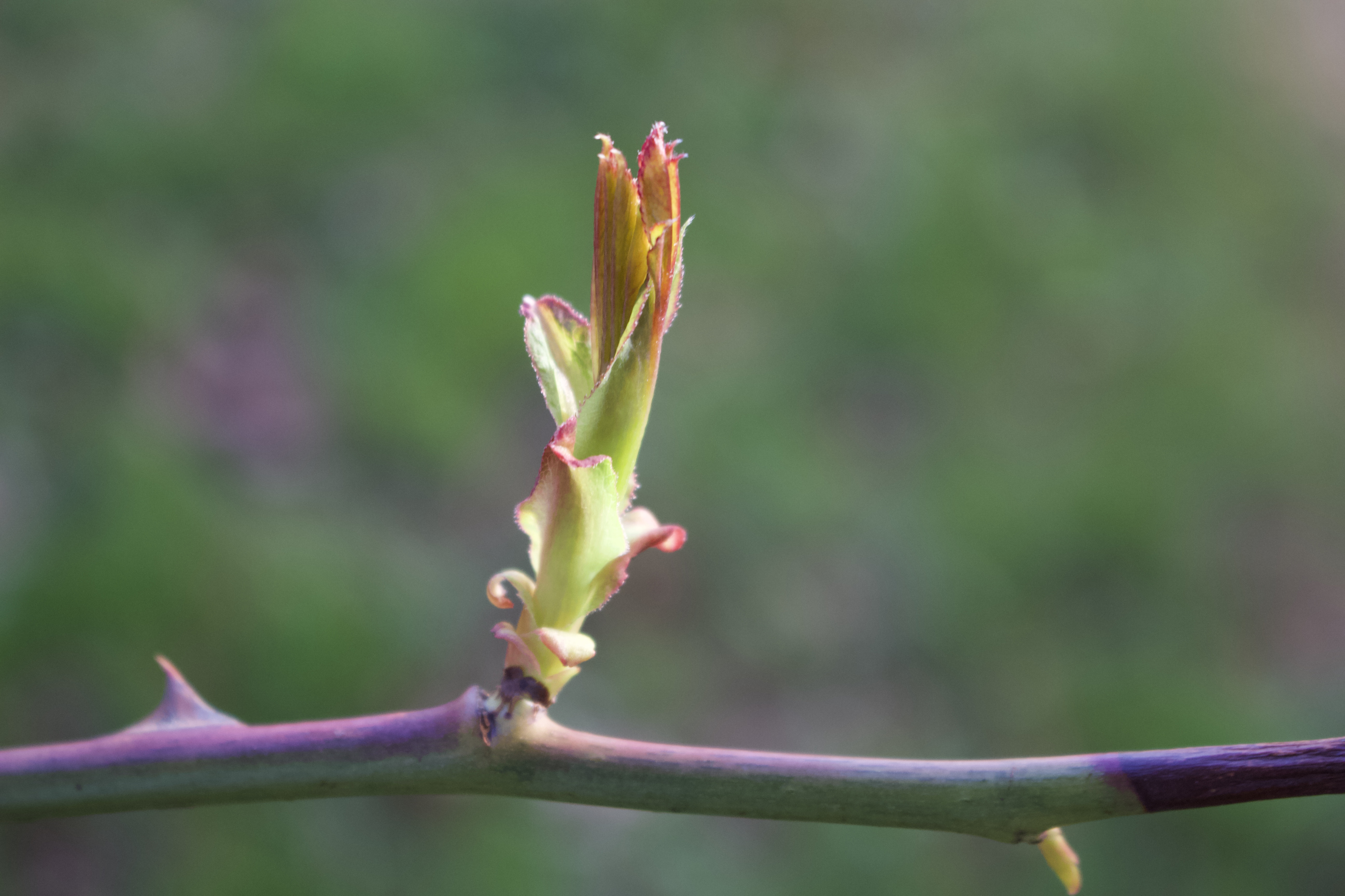 93413F7F-26CB-47D0-A4F6-9400B8AADD7A