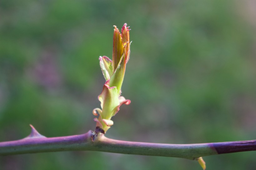 93413F7F-26CB-47D0-A4F6-9400B8AADD7A