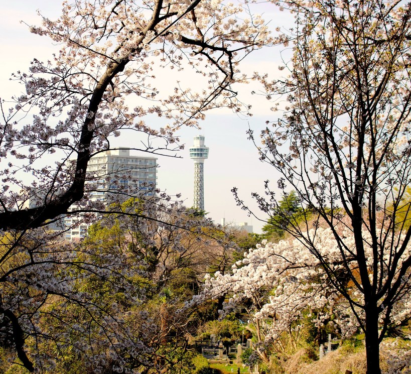 96FA8FEE-F5A7-4DFF-8064-73211591068A