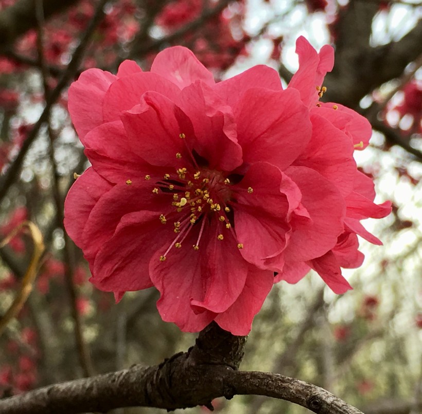 9871C575-192A-421B-A7F8-80146049FC2E