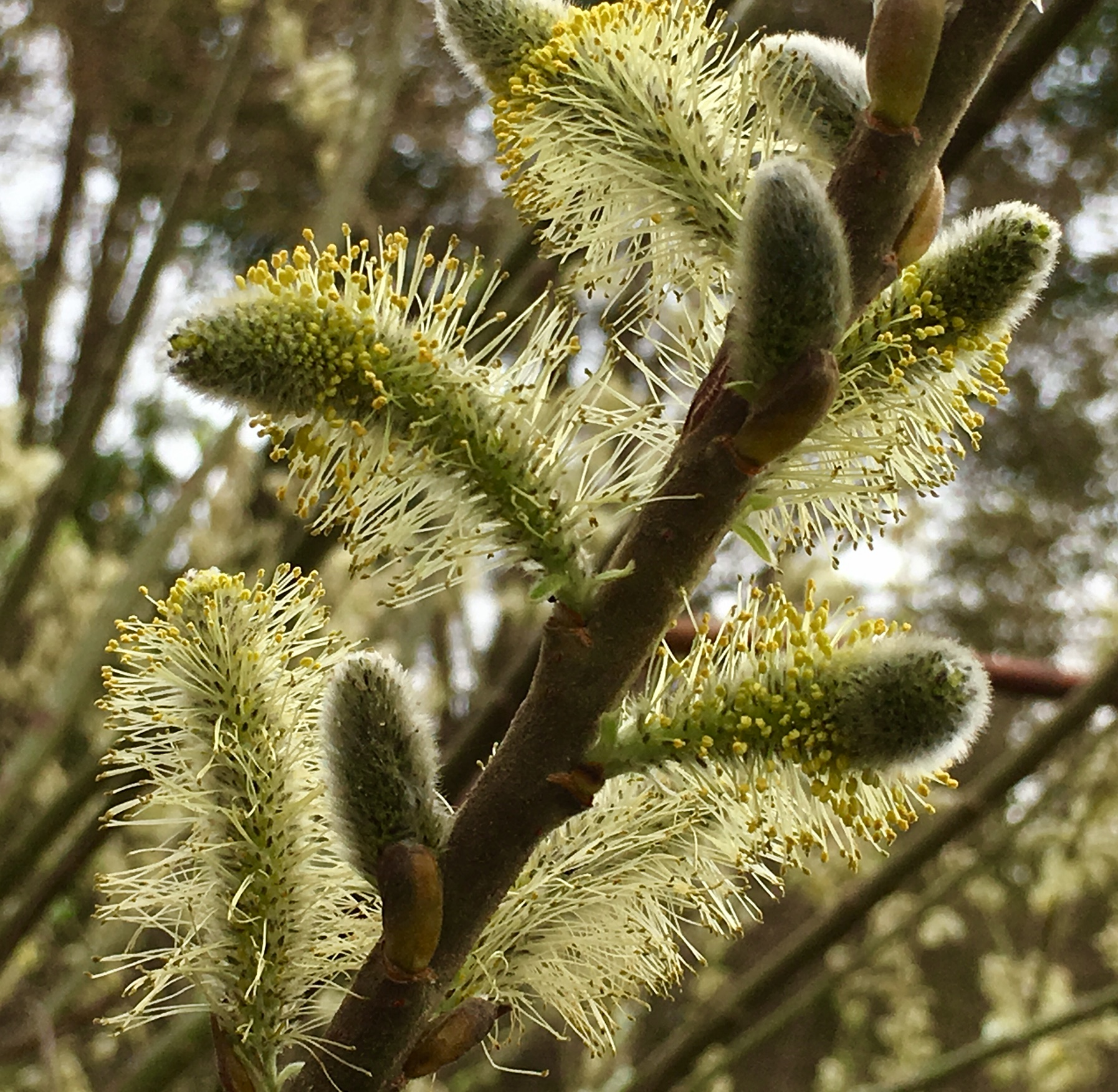 B92852B6-29D7-4FC2-853C-51E388A6C32C