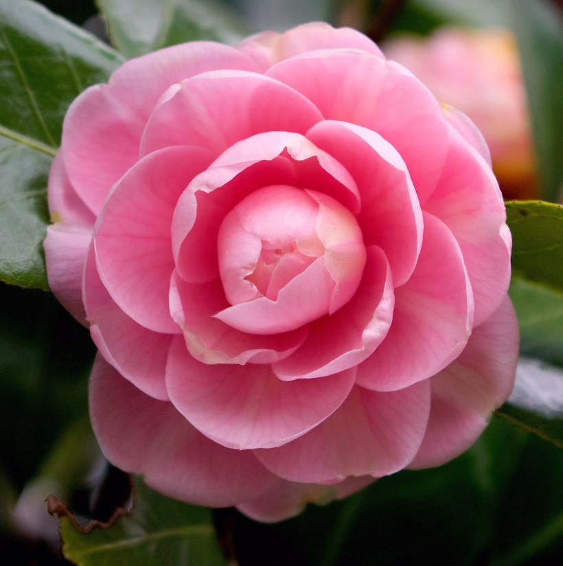 CA304658-41FF-4A95-BCB4-1FD3AF68D9BD