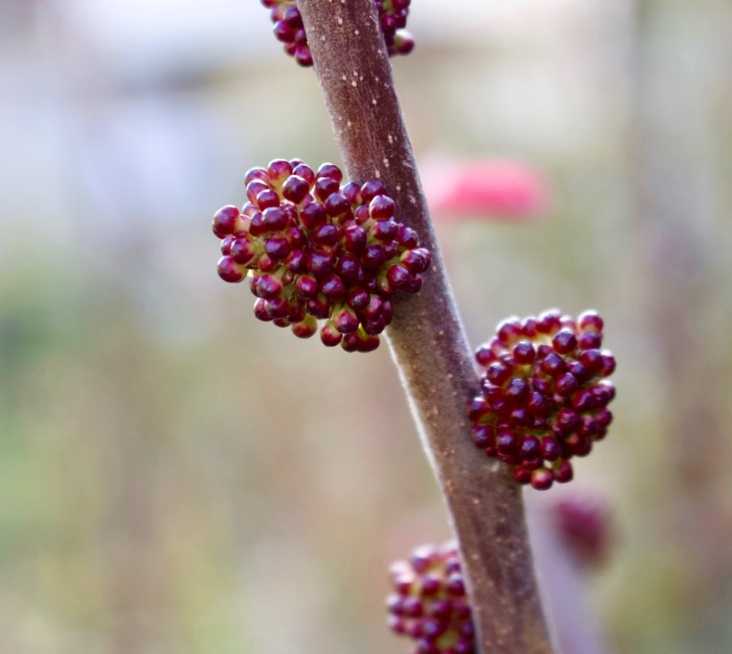 E2E5CF50-AA92-4C99-B9AE-3891649289F3